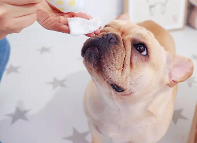 寵物用品進(jìn)口報(bào)關(guān)關(guān)稅稅率(寵物用品進(jìn)口關(guān)稅是多少?)